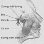 tmdg1
